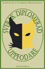 Diplomering